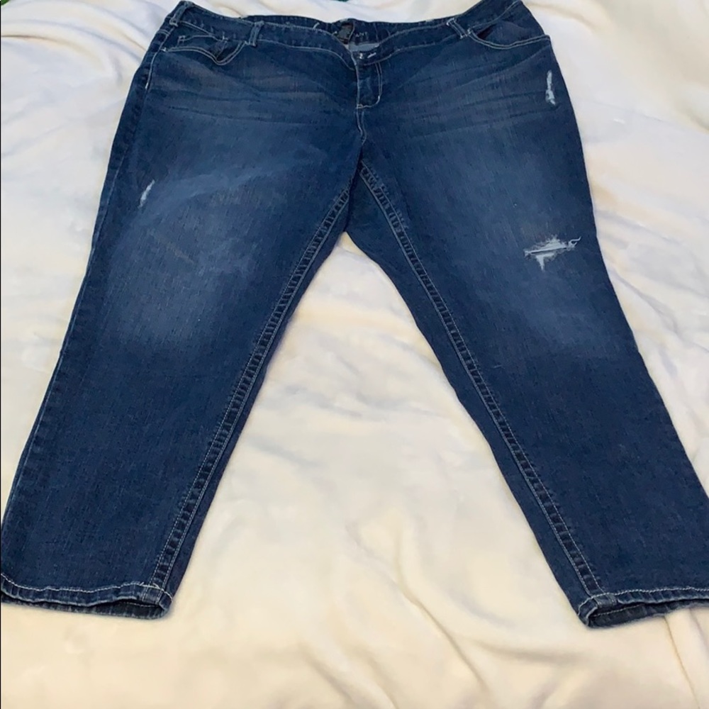 Lane Bryant Jeans